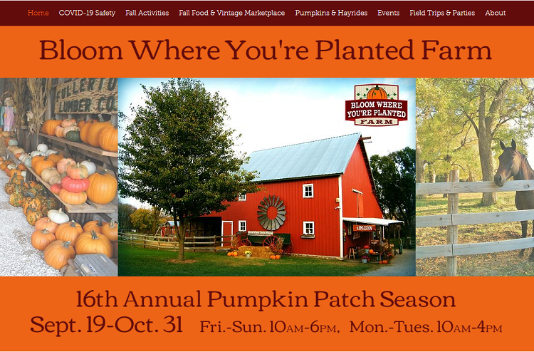 Bloom farm