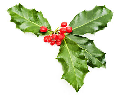 holly