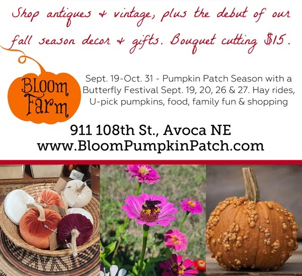 Avoca Butteerfly festival