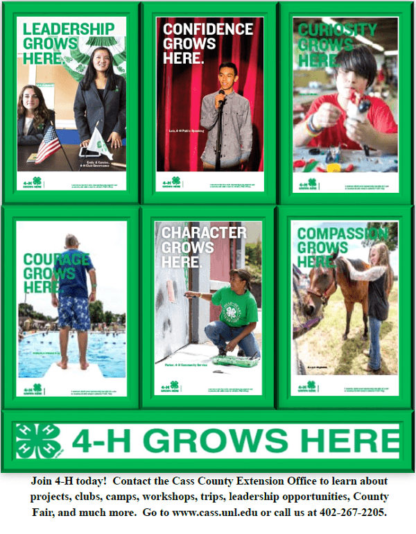 4 H enrollment